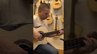 Michael Greenfield G1 Adirondack Cocobolo played by Tom Punt  Demo shorts [upl. by Denison]