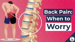 Low Back Pain Causes and 7 Worrying Signs [upl. by Iren795]