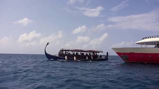 A typical day on our Maldives coral reef expedition [upl. by Marinelli]