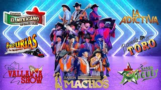 Quebradita Mix De Los 90 Exitos  Banda Machos El Mexicano Banda Maguey Banda Toroy Mas [upl. by Atinot111]