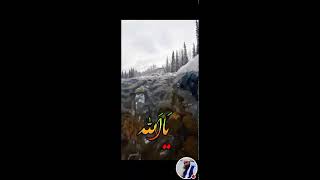 Qaseeda Burda Shareef  Beautiful Voice  قصیدہ بردہ شریف [upl. by Yesnikcm]