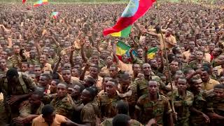 Mehari Degefaw  ግጠም አለኝ Ethiopian Music 2021 ጀግናው መከላከያ በደስታ ሰከረ  ETHIOPIAN DFENCE FORCE [upl. by Oiramd]