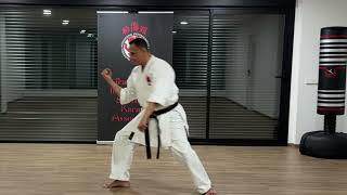 The Official Tiska Karate  4 Heian Sandan Detailed Tips [upl. by Ariom]