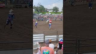 Bull Riding at Hamel Rodeo rodeo bullriding bullrider cowboy prca prorodeo minnesota bulls [upl. by Hgielrak58]