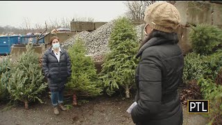 City Offering Christmas Tree Recycling Program [upl. by Brade]