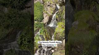 The Gobbins is a cliff face walk over the North Channel 🇮🇪 ireland northernireland subscribe [upl. by Dalt]