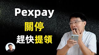 pexpay即将到来关停，赶快转移资产 [upl. by Willett]