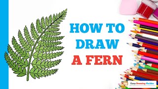 How to Draw a Fern Easy Step by Step Drawing Tutorial for Beginners [upl. by Devora850]