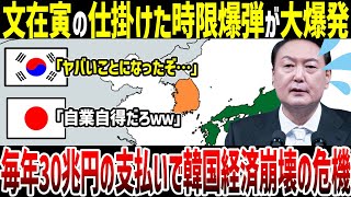 【ゆっくり解説】文在寅元大統領の置き土産がそろそろ爆発か？韓国が毎年支払う利子が膨大に膨れ上がり経済崩壊の危機 [upl. by Annas]