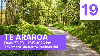 S01E19 Te Araroa  Days 7778 Tokomaru Shelter to Paekakariki [upl. by Anyaled]