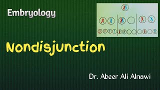 7 Embryology Nondisjunction  Dr Abeer Ali Alnawi [upl. by Adniled165]