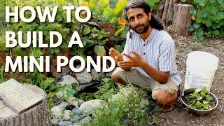 How to Build an Easy Mini Pond with Farmer Rishi [upl. by Tartaglia]