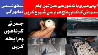 best business to start 5k rupees in pakistan  how to earn in punjab  poultry farm hen at home [upl. by Zeitler]