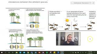 Sympatric Speciation [upl. by Cassondra]