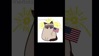 It’s not just a normal cat  Grumpy cat  Tardar Sauce idol cat memes [upl. by Suoivatnod]