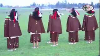 NEW AFAN OROMO OFFICIAL MUSIC VIDEO 2015 [upl. by Anidal]