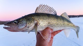 Jigging for MidWinter Walleyes Ice Fishing 2019 [upl. by Pollitt]