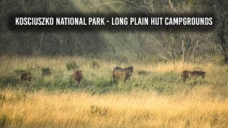 Long Plain Hut Campground Kosciuszko Yarrangobilly Caves Grey Nomads Travelling Australia Ep120 [upl. by Asirrak]