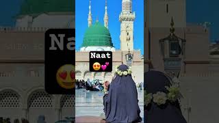 Maula ya Salli Naat youtubeshorts islam naat shorts viralvideo [upl. by Adialeda77]