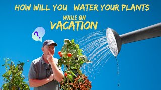 How to Water Your Plants While Youre on Vacation [upl. by Brear501]