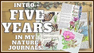 Five YEARS of nature journaling  Intro and 2016 to 2021 flipthrough [upl. by Ayotna]