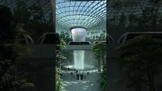 Singapore CHANGI AIRPORT pexelnature [upl. by Oiromed]