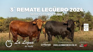 3° Remate Legüero LA LEGUA DE GELID  Cabañas Invitadas Quilpo Norte y La Cautiva [upl. by Fleeta483]