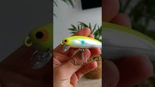 INCREÍBLES SEÑUELOS para la pesca a SPINNING  𝗧𝗢𝗣 𝟭𝟬 🔥 [upl. by Curt488]