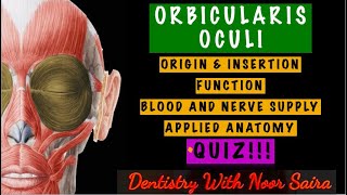 ORBICULARIS OCULI SIMPLIFIEDORIGIN INSERTION FUNCTION INNERVATION APPLIED ANATOMY [upl. by Piggy]