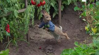 Rabbit Stealing Vegetables [upl. by Dalury]