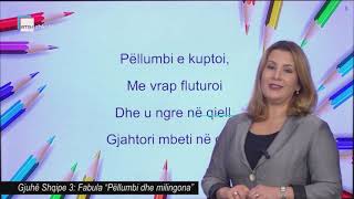 Gjuhë Shqipe 3  Fabula quotPëllumbi dhe milingonaquot [upl. by Ahsinuq]