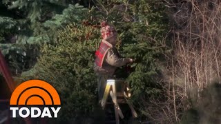 Real ‘Home Alone’ family says Macaulay Culkin really cut their tree [upl. by Attekram]