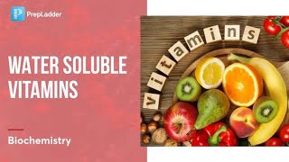 Unlocking the Science Behind WaterSoluble Vitamins  biochemistry [upl. by Toby]