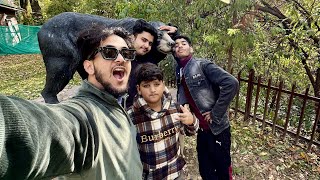 Exploring dachigam wildlife sanctuary😍wild bear k saath selfie leli😱 [upl. by Aramanta]