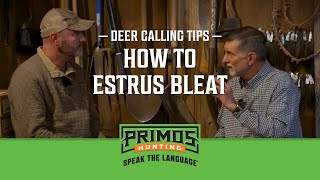 Deer Calling Tips  When And How To Estrus Bleat [upl. by Thorlie]