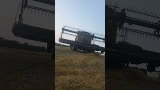 Both Combines Sitting Together New amp Old caseih wheatharvest farming [upl. by Brottman584]