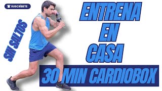 Entrena en Casa 30 Minutos de Puñetazos para Quemar 417 Calorías Sin Saltos  Pierde Peso  HIIT [upl. by Akerdnahs]