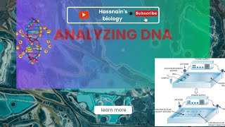 Analyzing DNA 1st year biology biologistasifsaleem0910 [upl. by Ludlew]