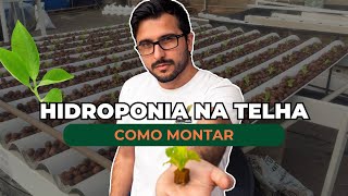 Como montar uma bancada Hidropônica na Telha  Por Bruno Palma [upl. by Dietz411]