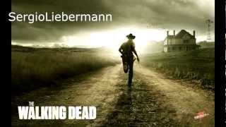 End Song The Walking Dead Season 2 Episode 10 quot18 Miles Outquot Audio  Wye Oak  Civilian [upl. by Khanna]