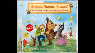 Laurentia  Summ Summ Summ Die beliebtesten Spiel und Bewegungslieder [upl. by Roxi]