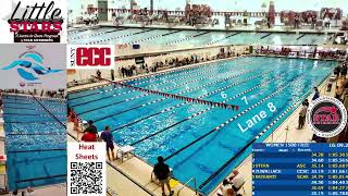 LC Speedo Sectionals  Sunday Distance  32623 [upl. by Warrin]