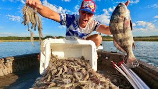 Shrimping Fishing Camping at the South Carolina Coast [upl. by Hannus]