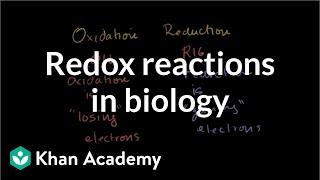 Oxidation and reduction review from biological pointofview  Biomolecules  MCAT  Khan Academy [upl. by Ogg]