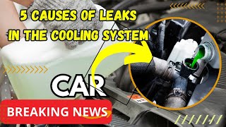 5 causes of leaks in the cooling system [upl. by Attelrak]