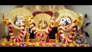 Rath Yatra in California 2024 Chariot Festival yt rathyatra jagannath new [upl. by Ydoow]