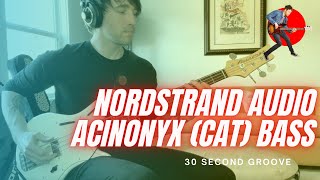 Nordstrand Audio  Acinonyx Bass Cat Bass [upl. by Pasadis72]