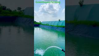 greenhousefarming organicfarming farmer shorts reels tonk trending rajasthan india kisan [upl. by Nellak]