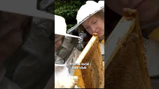 What weather is best for beekeeping [upl. by Aidnyl]