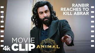 ANIMAL SCENE 23 Ranbir Reaches To Kill AbrarğŸ”ª  Ranbir K Bobby Deol Sandeep V Bhushan K [upl. by Winn]